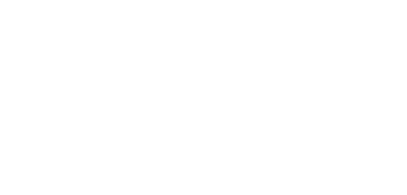 Golden Express LLC